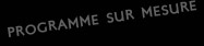 Programme incentive sur mesure